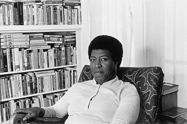 lg_c99294d6e935-octavia-butler-bookcase_500